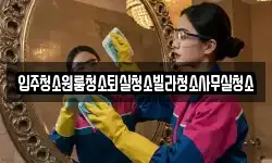 입주청소원룸청소퇴실청소빌라청소사무실청소