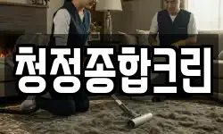 청정종합크린