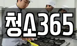 청소365