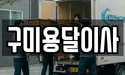 구미용달이사