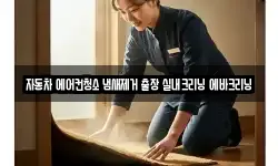 자동차 에어컨청소 냄새제거 출장 실내크리닝 에바크리닝