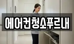 에어컨청소푸르내
