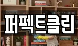 퍼펙트클린