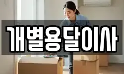 개별용달이사
