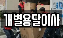 개별용달이사