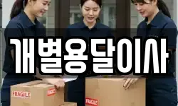 개별용달이사