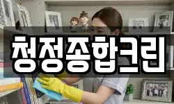 청정종합크린
