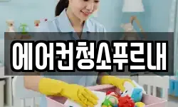 에어컨청소푸르내