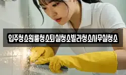 입주청소원룸청소퇴실청소빌라청소사무실청소