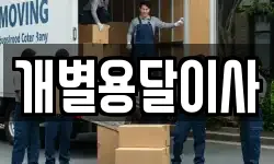 개별용달이사