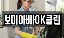 보미아빠OK클린