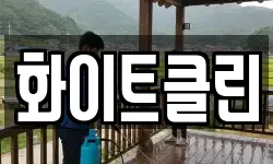 화이트클린