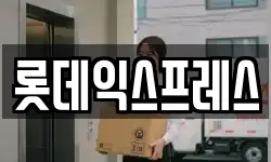 롯데익스프레스