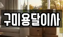 구미용달이사