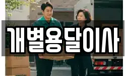개별용달이사