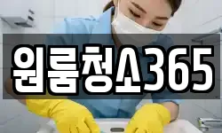 원룸청소365