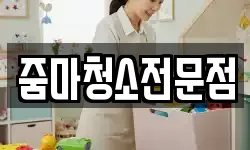줌마청소전문점