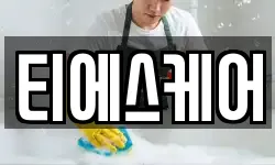 티에스케어