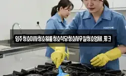 입주청소이사청소원룸청소식당청소사무실청소업체,핑크