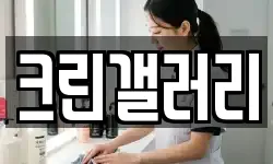 크린갤러리