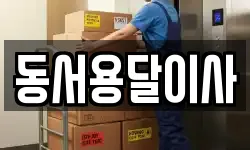 동서용달이사