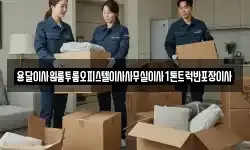 용달이사원룸투룸오피스텔이사사무실이사1톤트럭반포장이사