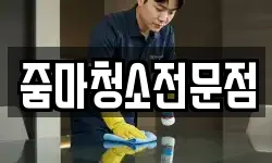 줌마청소전문점