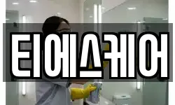 티에스케어