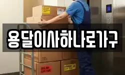 경상북도 김천시 양천동 이사,용달이사,포장이사,원룸이사,보관이사