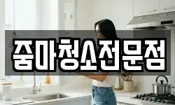 줌마청소전문점
