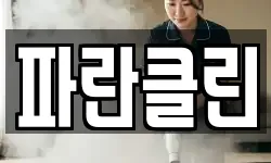 파란클린