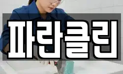 파란클린