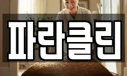파란클린