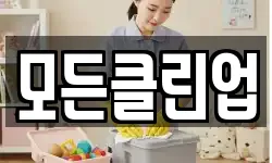 모든클린업