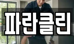 파란클린