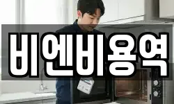 비엔비용역