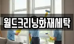 경상북도 봉화군 봉성면 청소,입주청소,사무실청소,에어컨청소