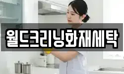 월드크리닝화재세탁