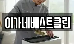 이가네베스트클린