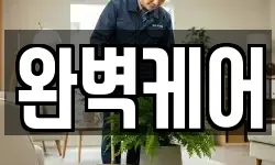 완벽케어