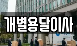 개별용달이사