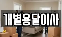 개별용달이사