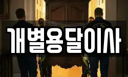 개별용달이사