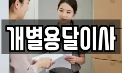 개별용달이사