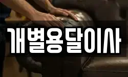 개별용달이사