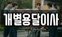 개별용달이사