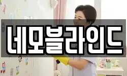 네모블라인드