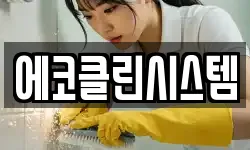 에코클린시스템