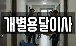 개별용달이사