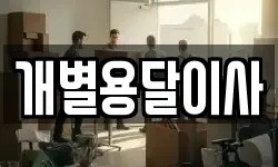 개별용달이사